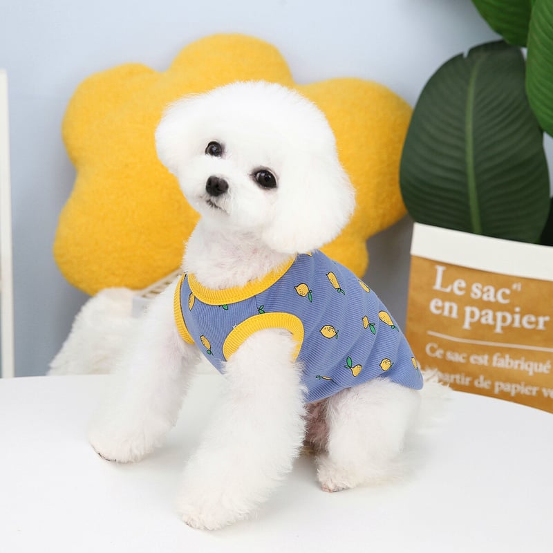 予約販売】ペット服 レモン柄 ノースリーブ 犬用 ペット服 犬 犬服