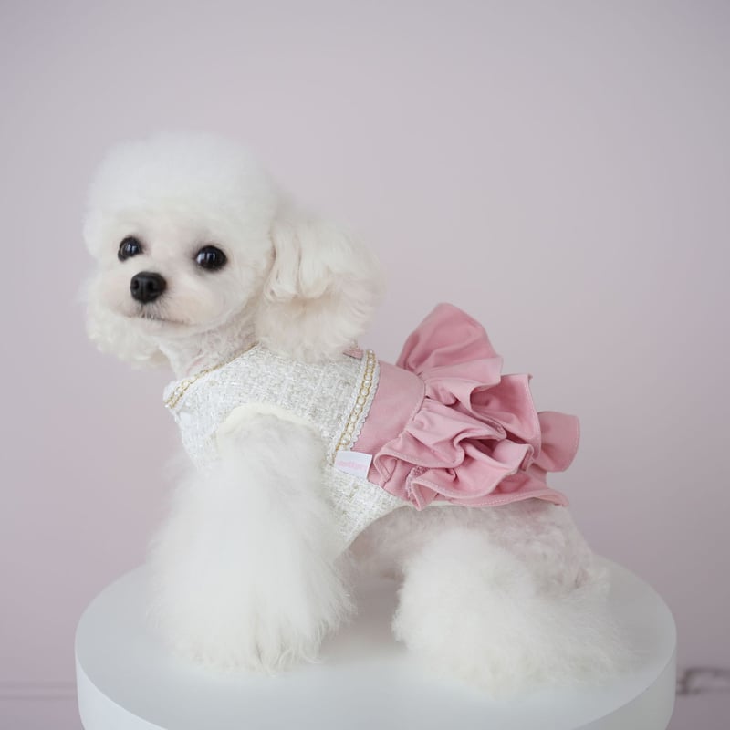 犬用ツイードベストとキャミワンピースセット 犬用ツイードベストとキャミワンピースセット