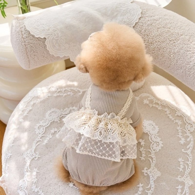 犬服♥️キャミ　フリルロンパース　ピンク　ハンドメイド　オーダー 犬服 レースフリルキャミ重ね着風ロンパース トップス ペット服
