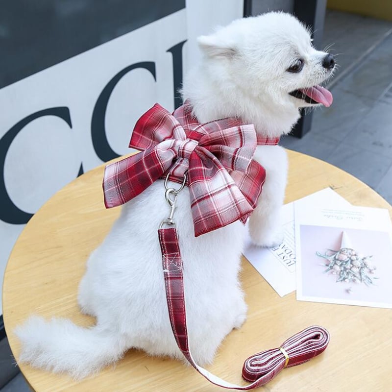 SusanLanci 犬用品 リボン付きリード ヒョウ柄 セレブ犬 可愛い 本日