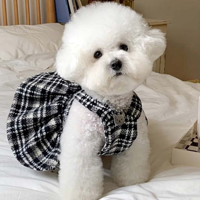犬服　フラワースマイルチェック　デザイン　ワンピース見本 犬服フラワースマイルチェックデザインワンピース見本