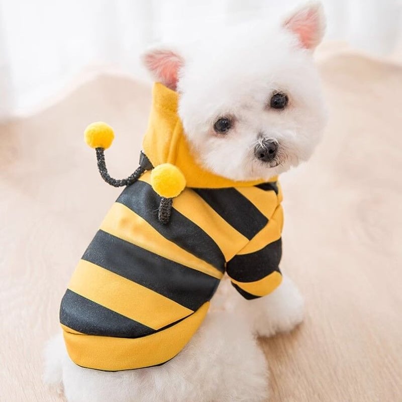 大型犬服 ハロウィン＆迷彩うさぎ 【専用】 犬用ペット服 蜂」の人気商品