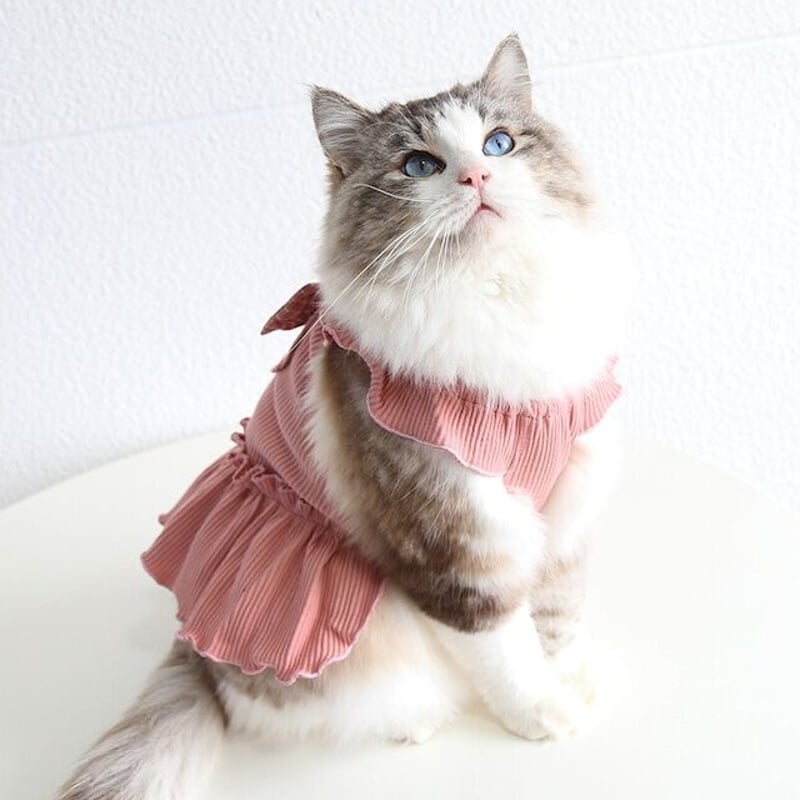 ハンドメイド　ナチュラルボタニカル　バックリボンワンピース　犬服 リボンチュールワンピース 可愛い小型犬の洋服通販 鎌倉ドッグ