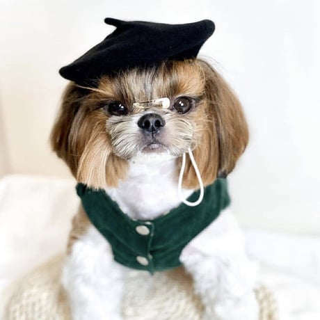 犬用帽子 つばひらひらタイプ リバーシブル オーダー受け付けます 