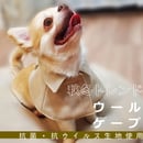63569a54d7e1d820cc2ab42b