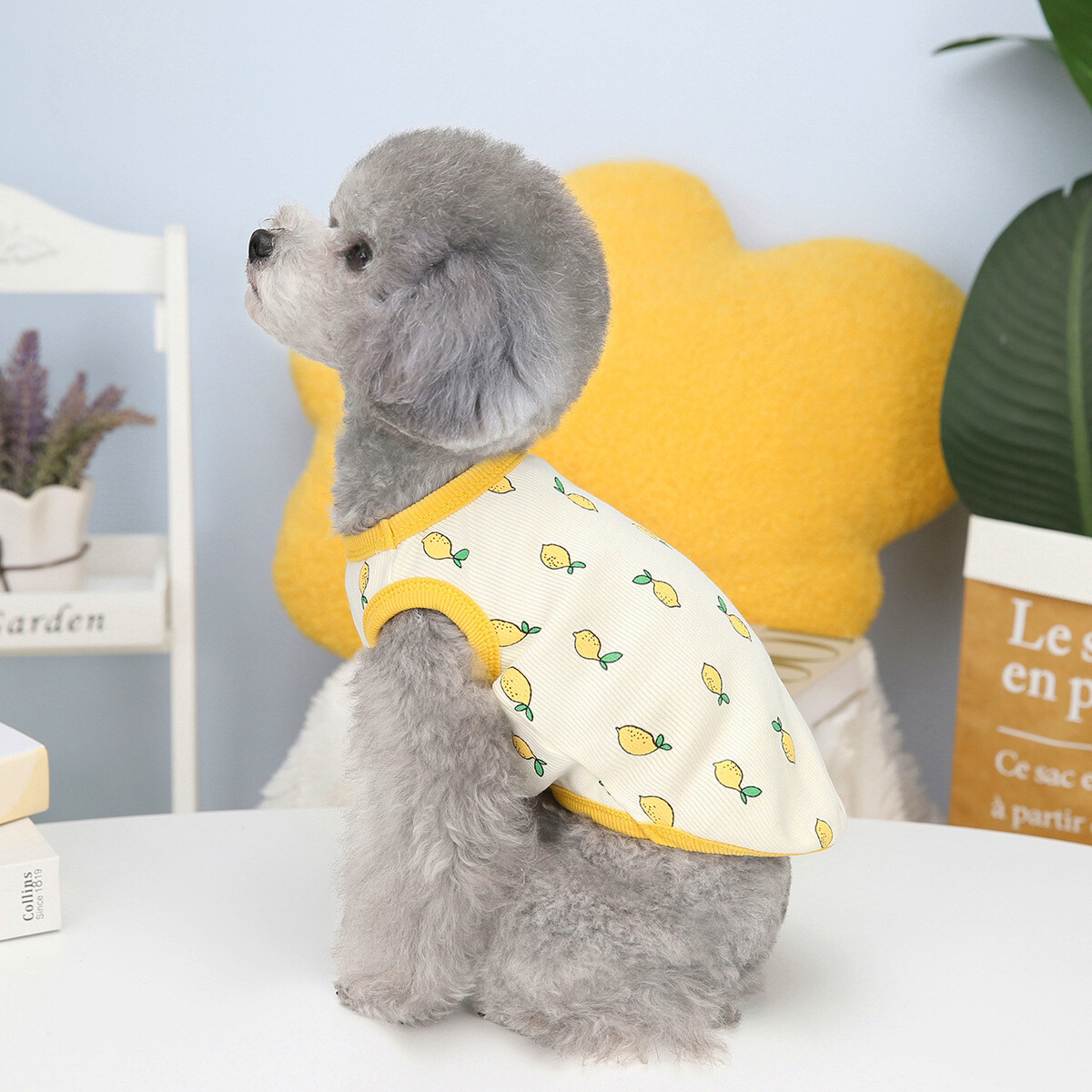 予約販売】ペット服 レモン柄 ノースリーブ 犬用 ペット服 犬 犬服