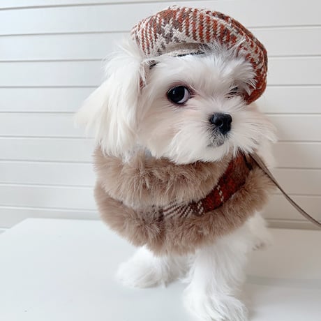 送料無料！ 犬服 チェック柄ファーマント ベレー帽 リード 3点セット ケープ コート ペット服 犬 おしゃれ かわいい 安い 小型犬 中型犬 大型犬