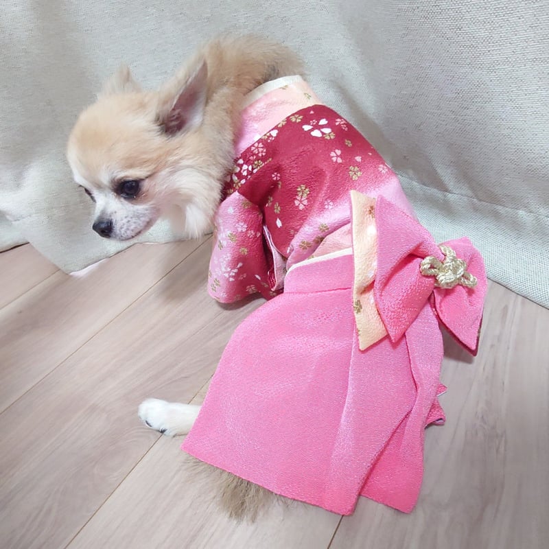 再入荷！！小型犬Sサイズ 着物 袴 犬服 和服 和装 小型犬 ドレス ドッグウェア ワンピース...