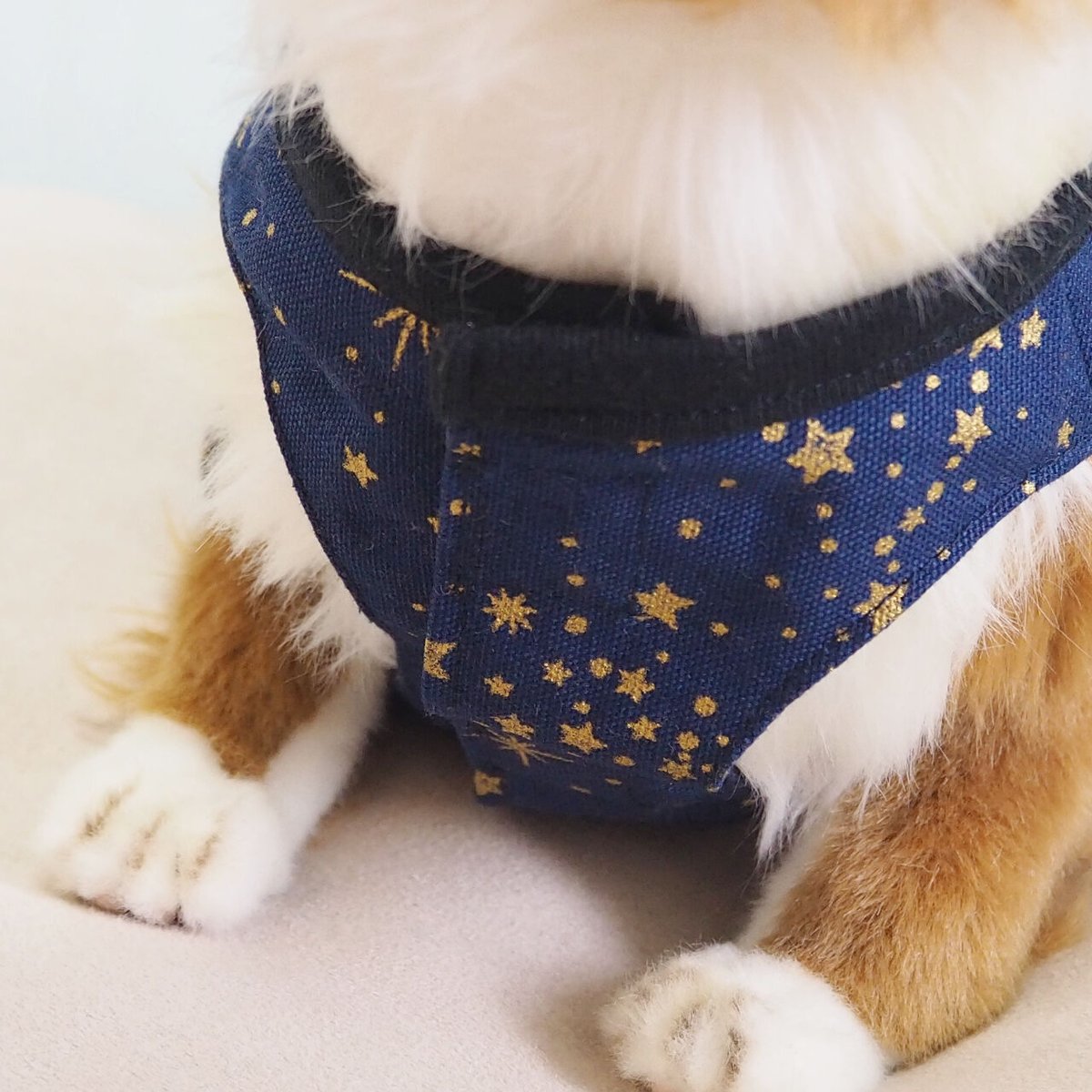 Sサイズ》星柄フリルワンピース 犬用服 簡単着脱 おしゃれなペット服 