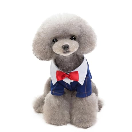【すぐにお届け！】チェック柄 ドッグスーツ ドッグウェア ドッグジャケット 小型犬用 中型犬用 ペット服 春秋 トレンディスタイル ウェディング