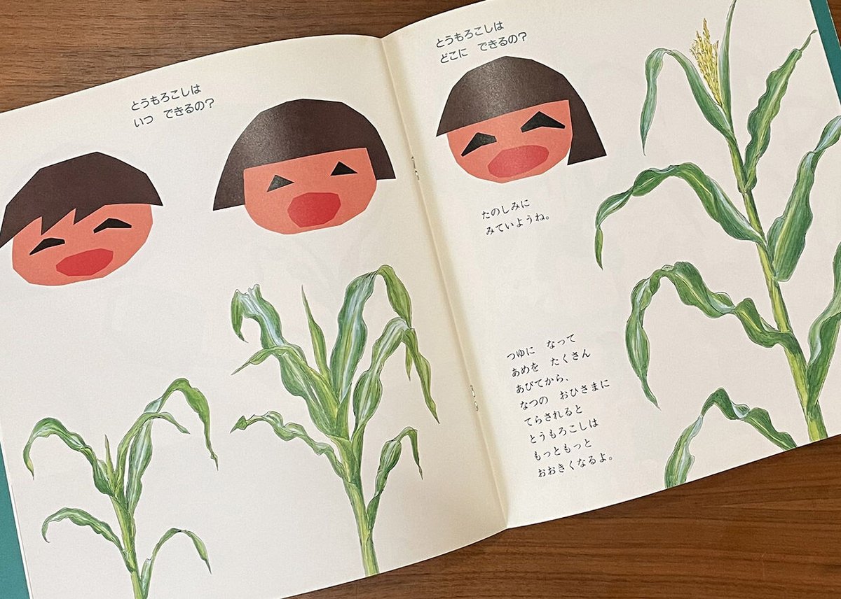 かがくのとも通巻315号 とんとんとうもろこし | 古本選堂 online store