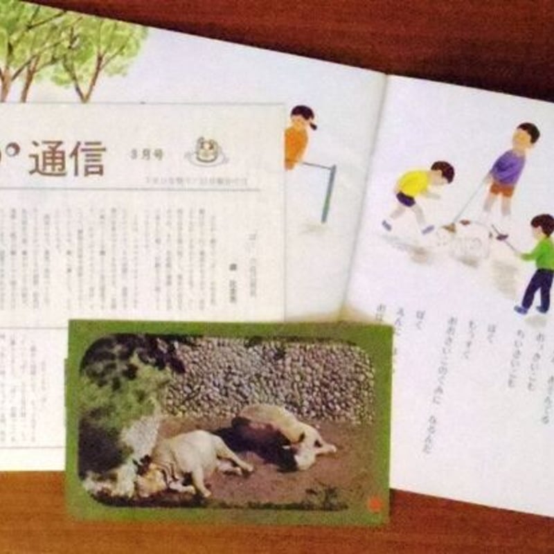 こどものくに チューリップ版 「ぼく」 | 古本選堂 online store