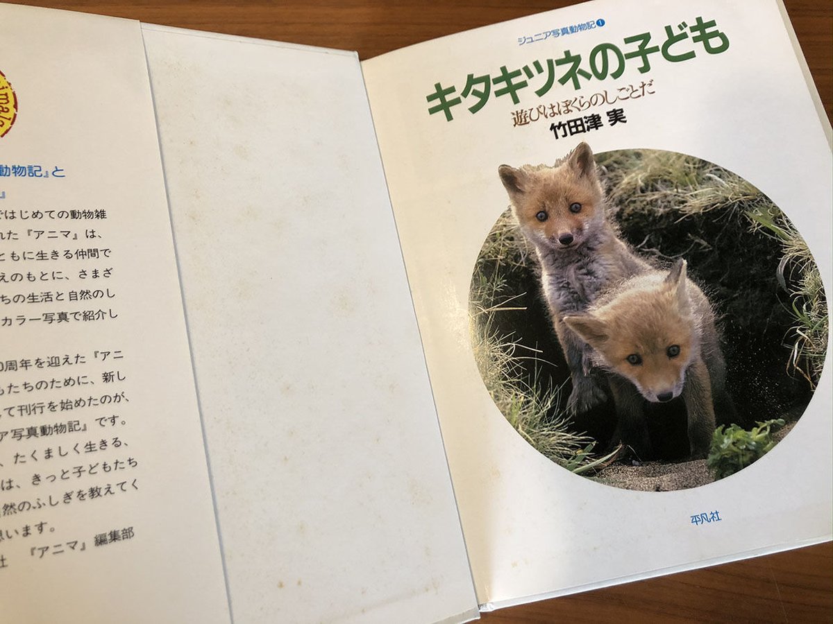 ジュニア写真動物記 全30冊 輸送函 平凡社 - 児童書、絵本 ジュニア写真動物記 全30冊 輸送函 平凡社 - 児童書、絵本
