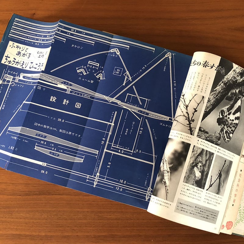 学習画報 昭和36年8冊合本 | 古本選堂 online store 学習画報 昭和36年8冊合本 | 古本選堂 online store