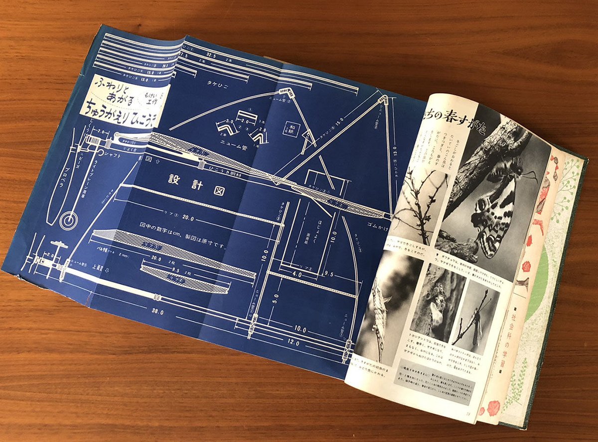 学習画報 昭和36年8冊合本 | 古本選堂 online store 学習画報 昭和36年8冊合本 | 古本選堂 online store