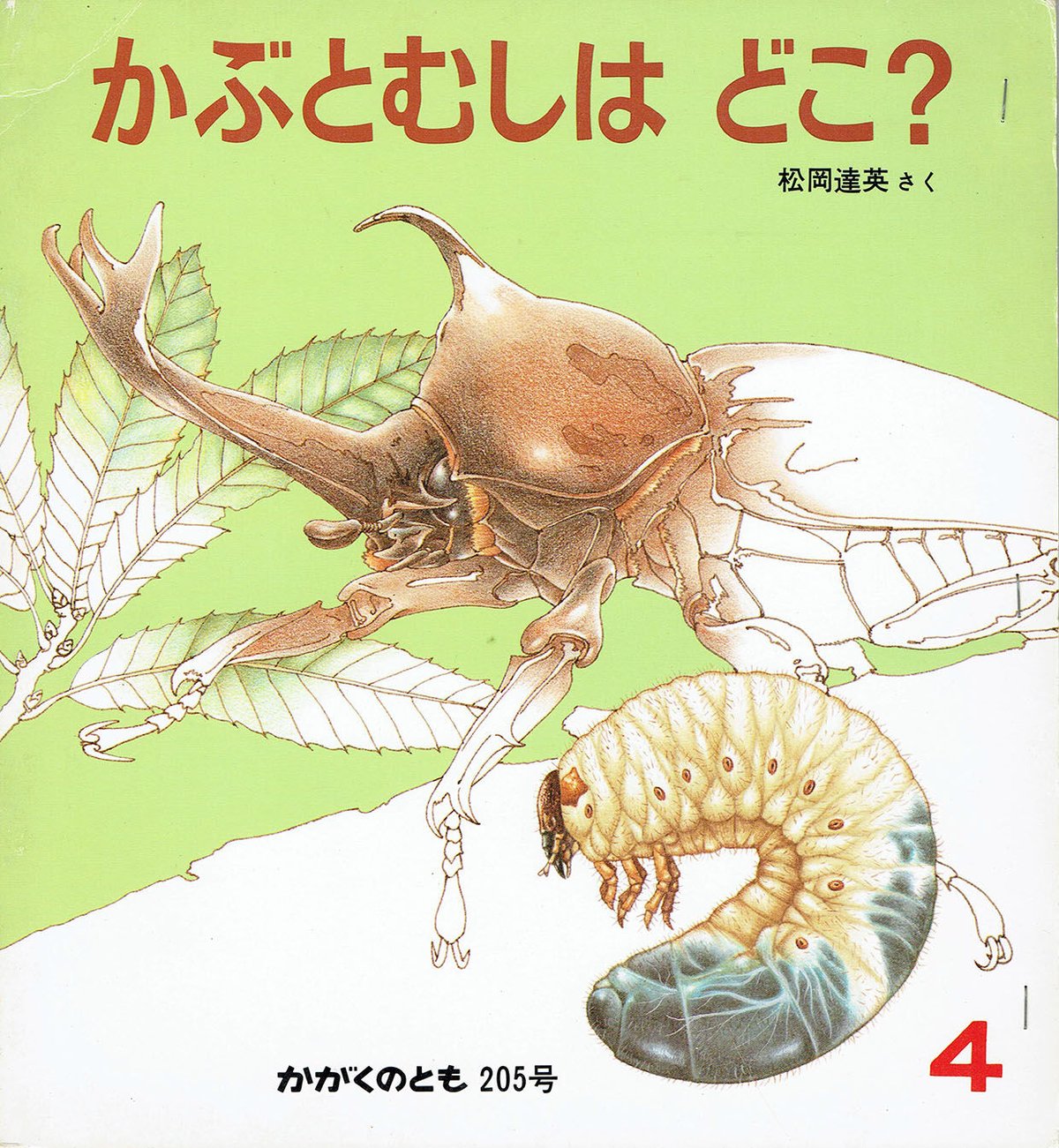 かがくのとも通巻205号 かぶとむしはどこ？ | 古本選堂 online store