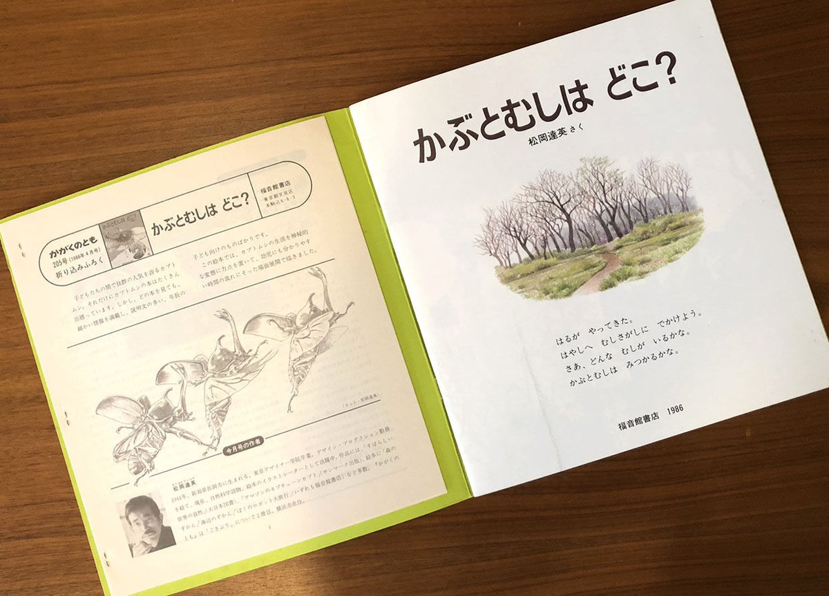 かがくのとも通巻205号 かぶとむしはどこ？ | 古本選堂 online store