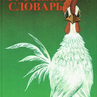Мой первый  русскй　словарь