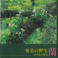 奄美の野生蘭　山下弘写真集【署名入】
