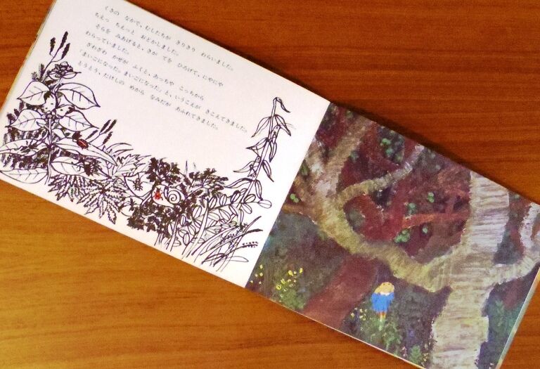 こどものとも194号 たけしのえんそく | 古本選堂 online store
