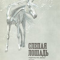 Слепая лошадь