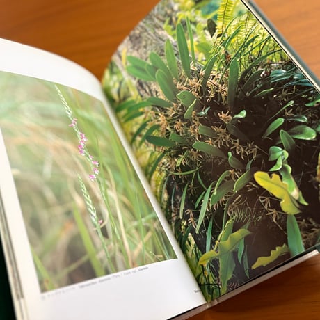 奄美の野生蘭　山下弘写真集【署名入】