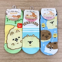 いーすとけん。3足セット スニーカーソックス socks 23～25cm