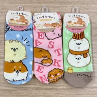 いーすとけん。3足セット スニーカーソックス socks 23～25cm
