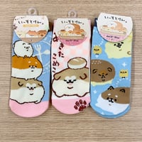 いーすとけん。3足セット スニーカーソックス socks 23～25cm