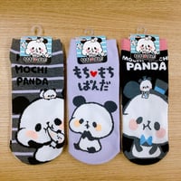 もちもちぱんだ ソックス3足セット 23～25cm