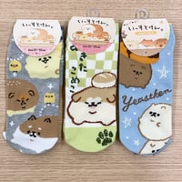 いーすとけん。3足セット スニーカーソックス socks 23～25cm