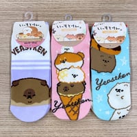 いーすとけん。3足セット スニーカーソックス socks 23～25cm