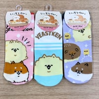いーすとけん。3足セット スニーカーソックス socks 23～25cm