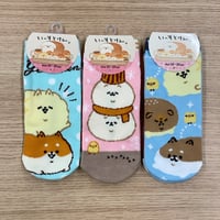 いーすとけん。3足セット スニーカーソックス socks 23～25cm