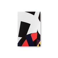 Shunsuke Imai / Skirt and Scene【A-11】untitled Postcard