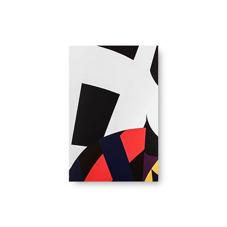 Shunsuke Imai / Skirt and Scene【A-11】untitled Postcard