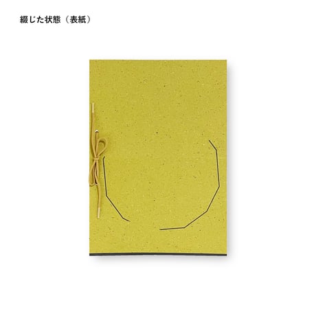 Sit, Down. Sit Down Please, Sphinx. 泉太郎展図録