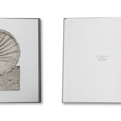 Cy Twombly / Glenstone Catalogue