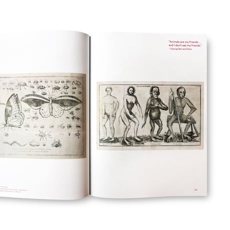 Jens Hoffmann / Animality