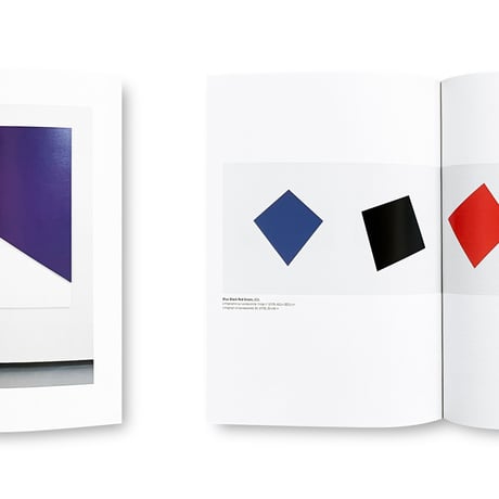 Ellsworth Kelly / Les Cahiers