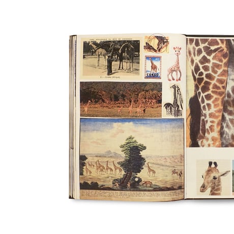 Lous Martens / Animal Books For (Reprint/ New Cover)