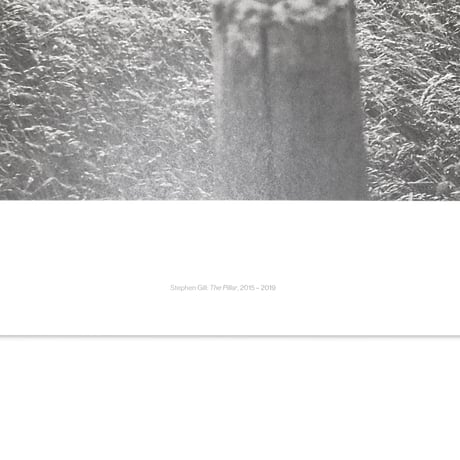 Stephen Gill / The Pillar - Large Poster