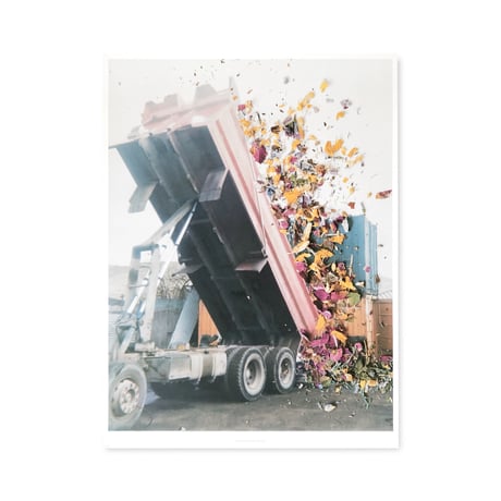 Stephen Gill / Hackney Flowers - Large Poster