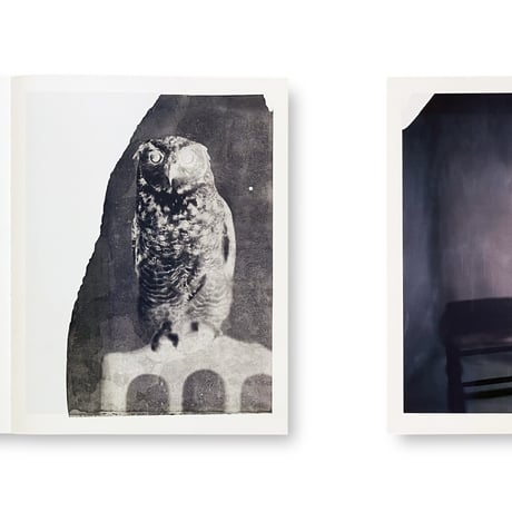 Paolo Roversi / Des oiseaux