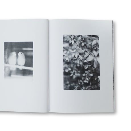 Jochen Lempert / Paare / Pairs