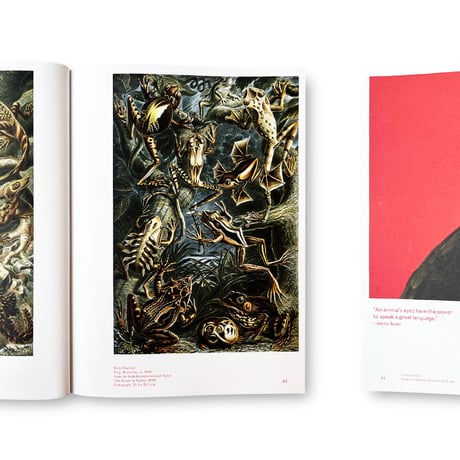 Jens Hoffmann / Animality