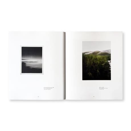 Gerhard Richter / Landschaft (ドイツ語版）