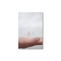 Rinko Kawauchi / 【M/E-11】Untitled from M/E Postcard