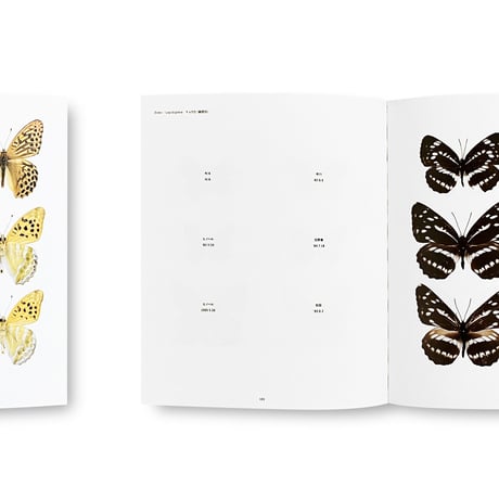 Hiromasa Iwasaki / NO-RECORD-FOUND CERTIFICATE – 759 Insects –