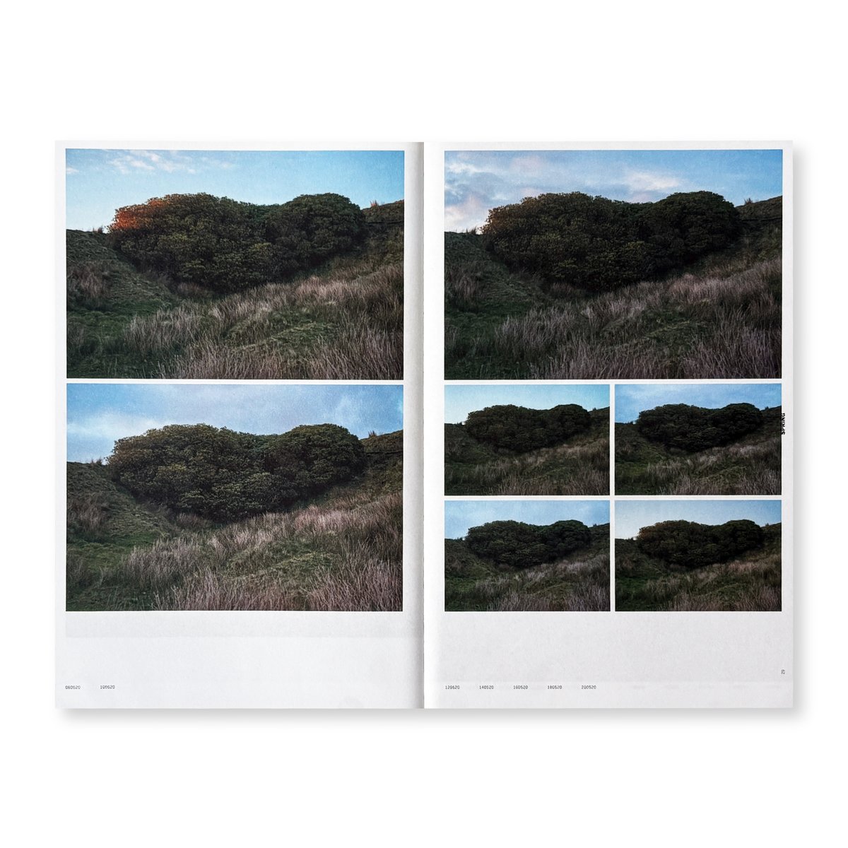 Yan Wang Preston / With love | Gallery 5